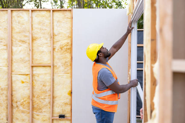 Best Insulation Removal  in Prospect Heights, IL